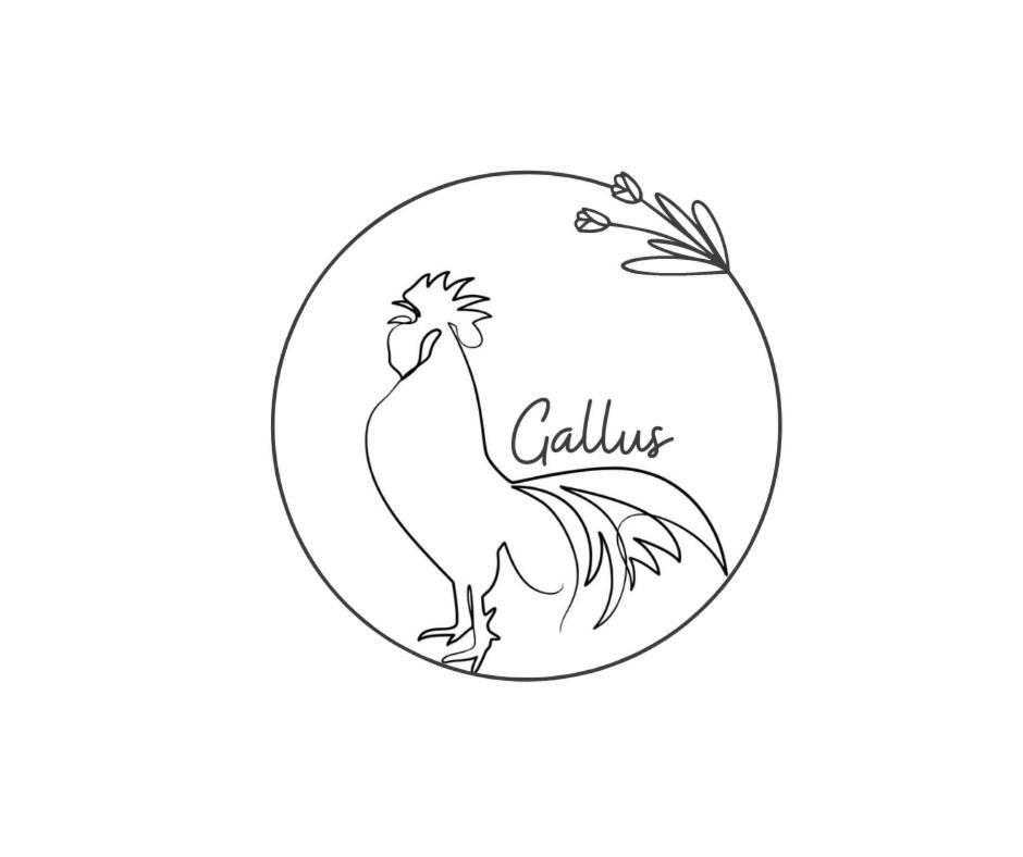 Apartment Gallus 布莱德 外观 照片